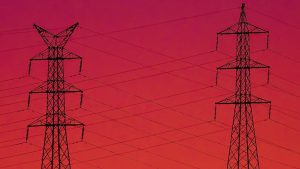 Years of Patient Work