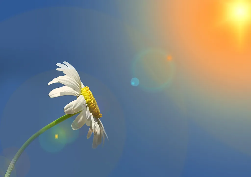 Osobna energetska polja: iscjeljivanje, dobrobit i svjesna svijest