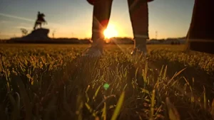 Nikola Tesla The Child of the Storm and Light